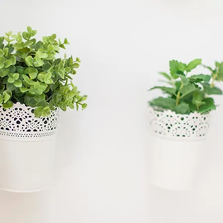 Bairrus - Rossio 리스본